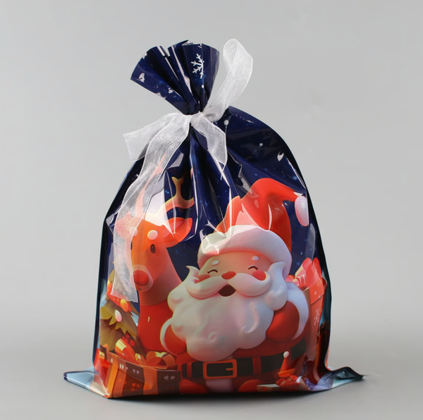 Holiday Magic Gift Bags