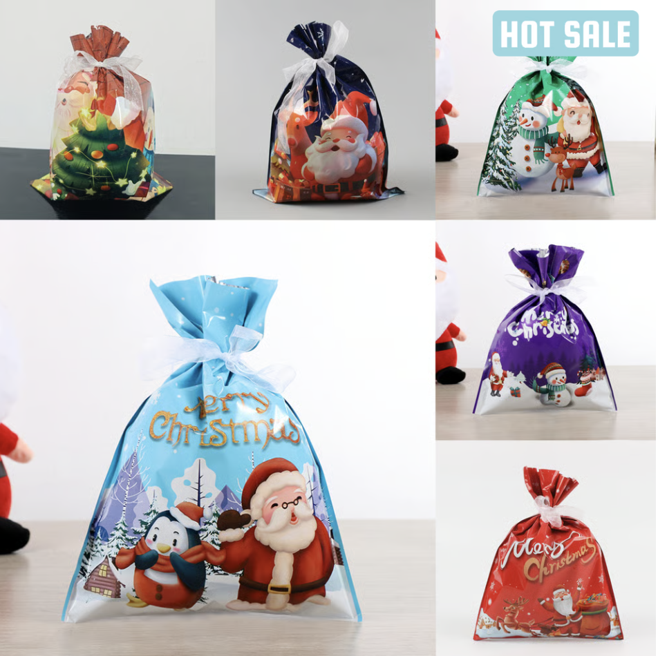 Holiday Magic Gift Bags