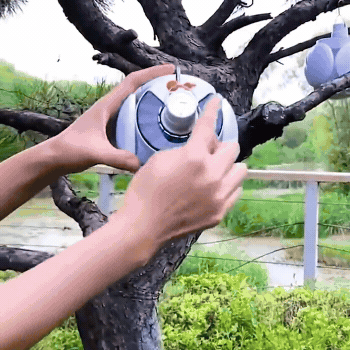 EcoGlow Solar Lantern- 6 Pack