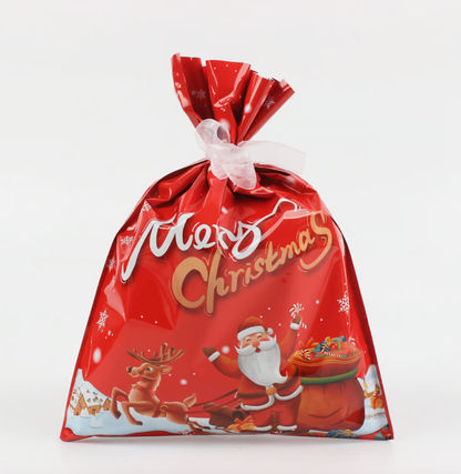 Holiday Magic Gift Bags