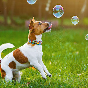 Magic Bubble Fireworks Machine